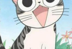 动漫猫猫,动漫世界的奇幻冒险之旅